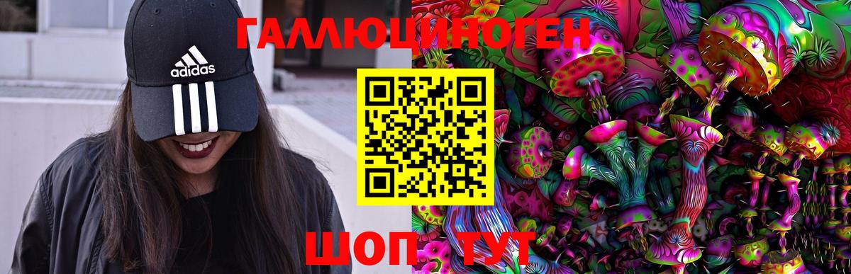 Реж  Галлюциногенные грибы Psilocybine cubensis  Вход с VPN 